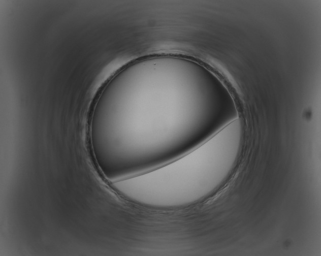 X0000097841277200803140827