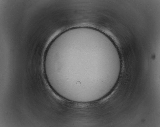 X0000097841278200803140827