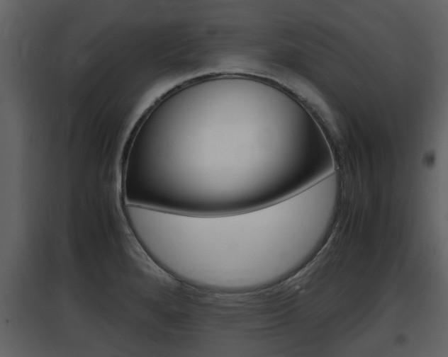 X0000097841280200803140826