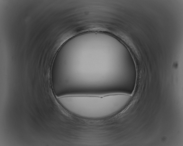 X0000097841281200803140826