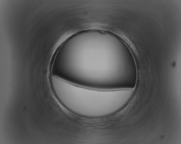 X0000097841285200803140826