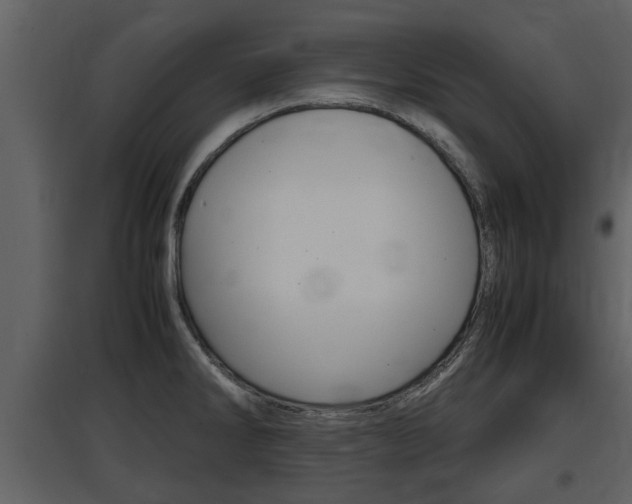 X0000097841286200803140826