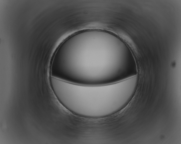 X0000097841288200803140826