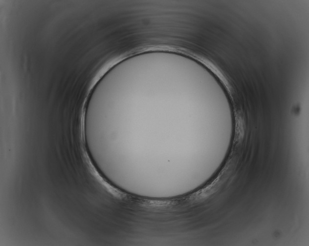 X0000097841290200803140826