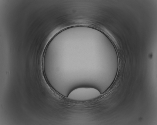 X0000097841291200803140826