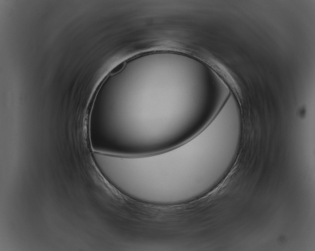 X0000097841292200803140826