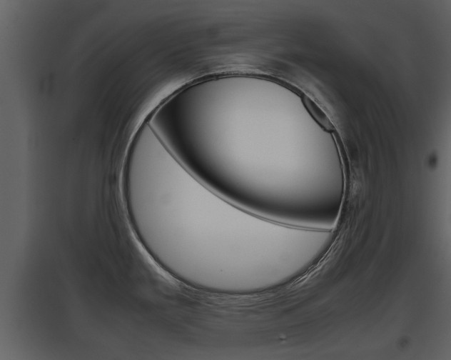 X0000097841293200803140826