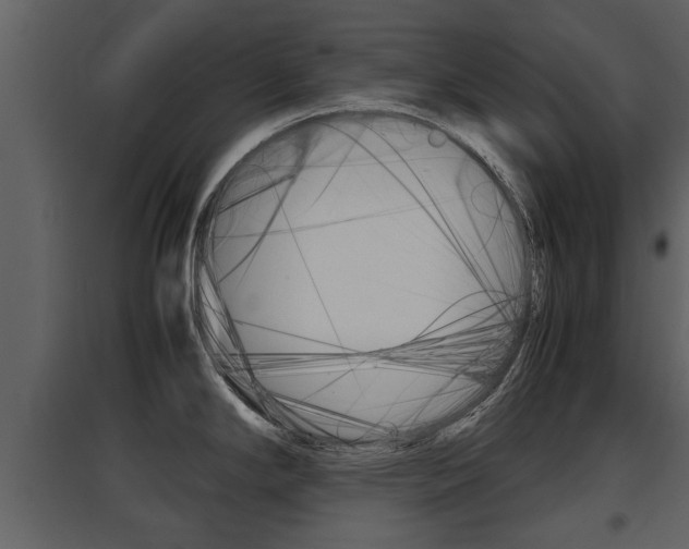 X0000097841294200803140826
