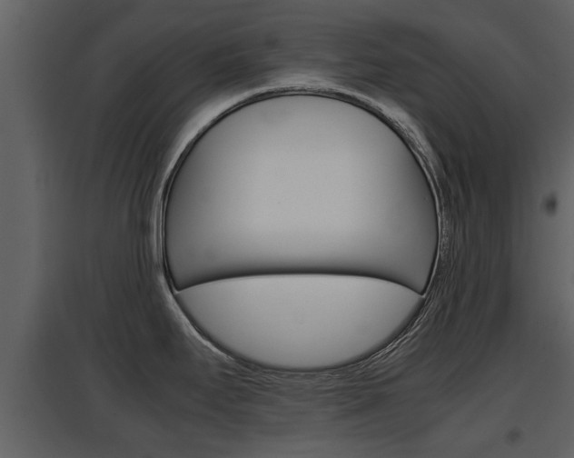X0000097841295200803140826