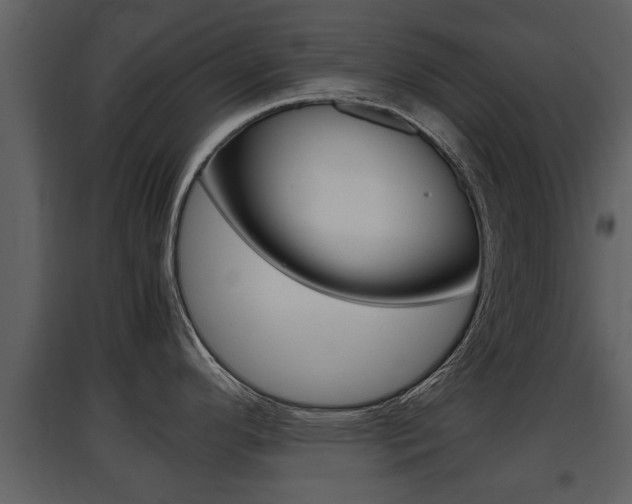 X0000097841296200803140826