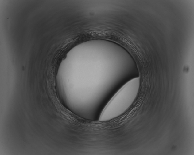 X0000097841297200803140825