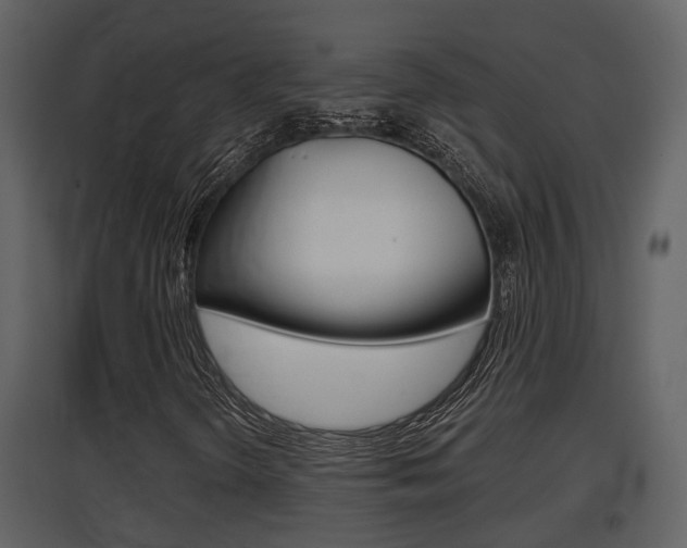 X0000097841298200803140825