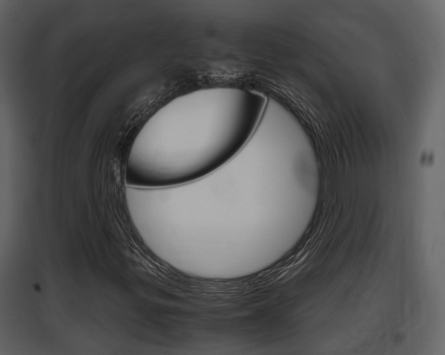 X0000097841299200803140825