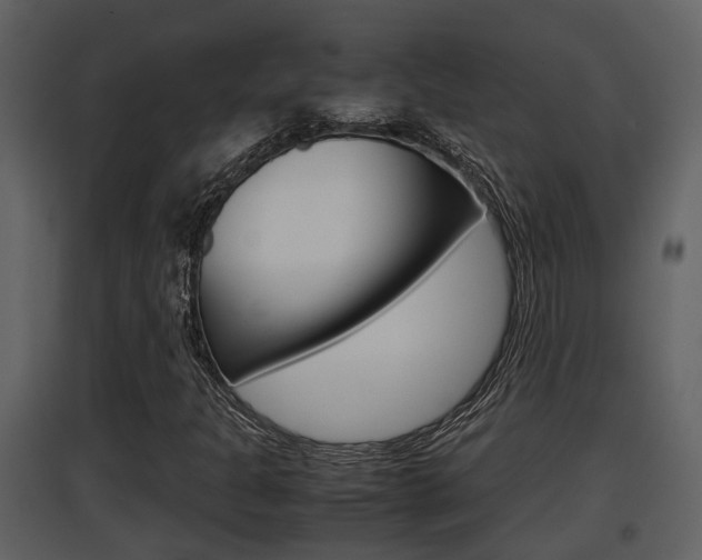 X0000097841301200803140825