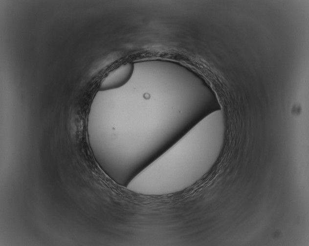 X0000097841302200803140826