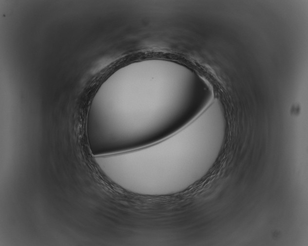 X0000097841303200803140826