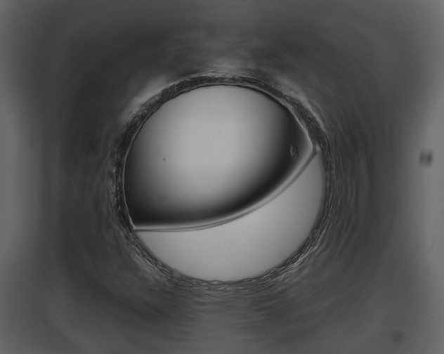 X0000097841304200803140826