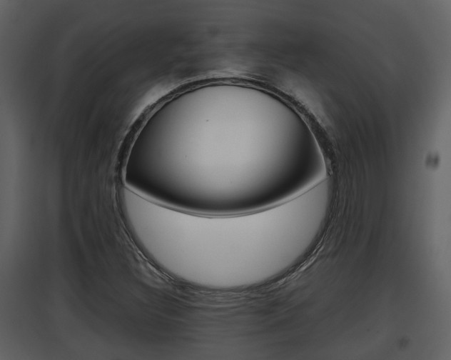 X0000097841308200803140826