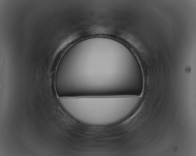 X0000097841309200803140826