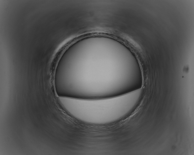 X0000097841310200803140826