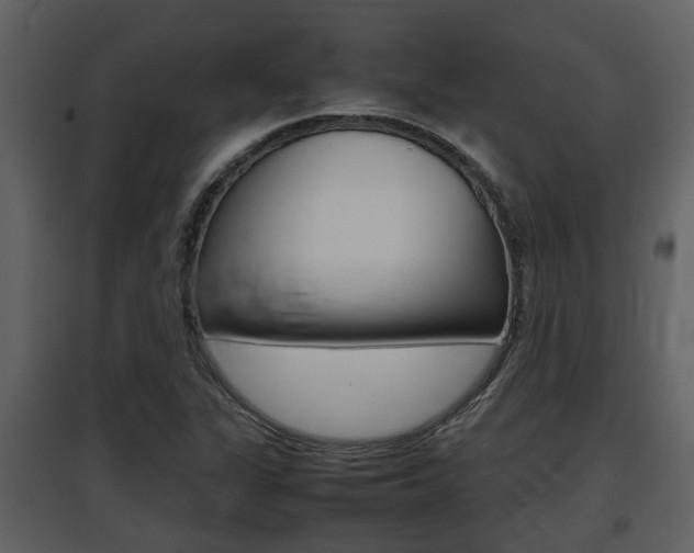 X0000097841311200803140826