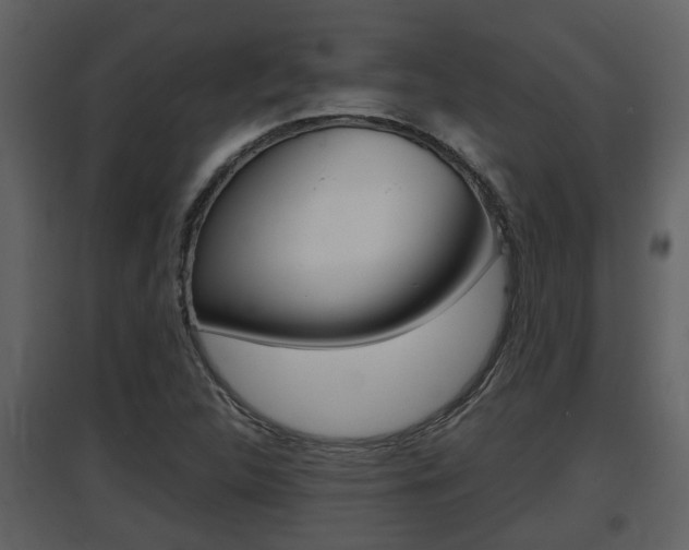 X0000097841312200803140826