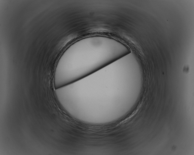 X0000097841313200803140826