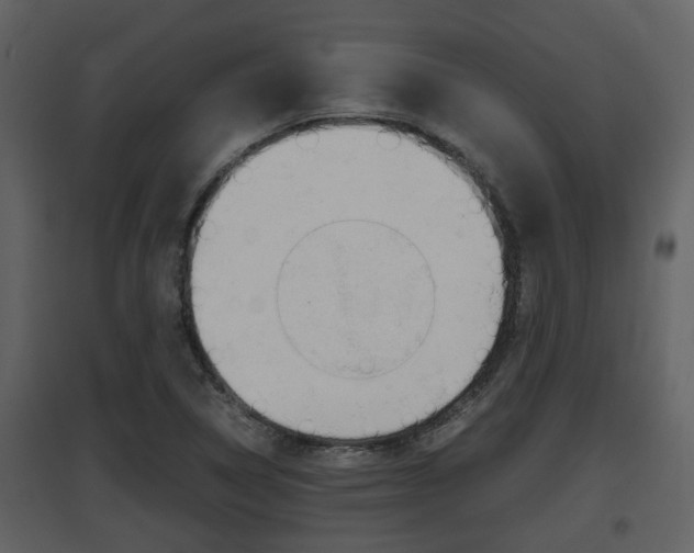 X0000097841314200803140826