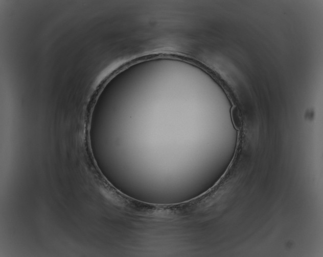 X0000097841316200803140826