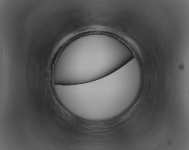 X0000097841318200803140826