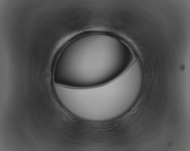 X0000097841319200803140826