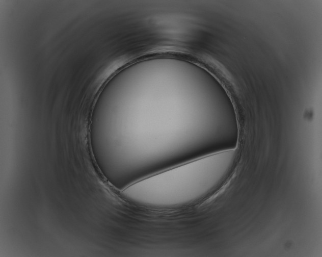 X0000097841321200803140826