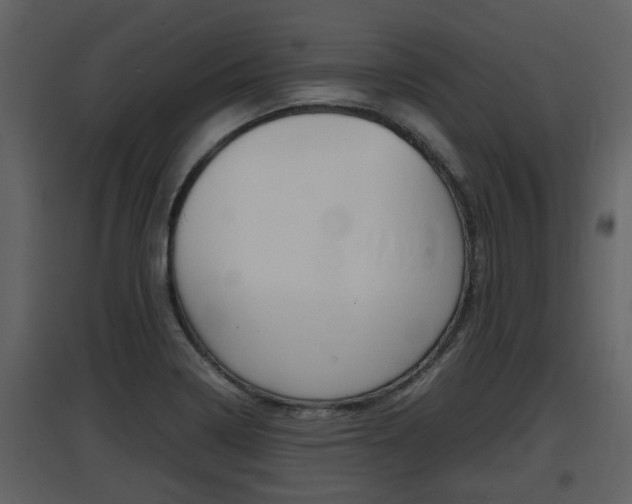 X0000097841322200803140826