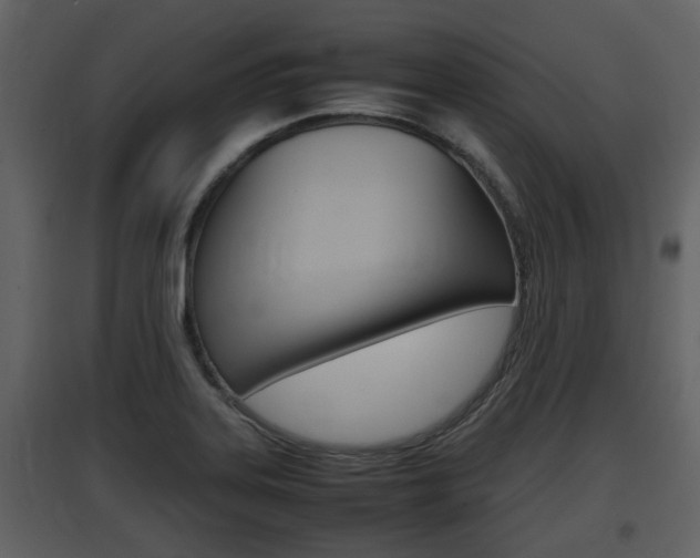 X0000097841323200803140826
