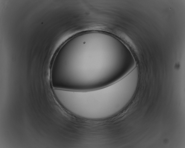 X0000097841324200803140826