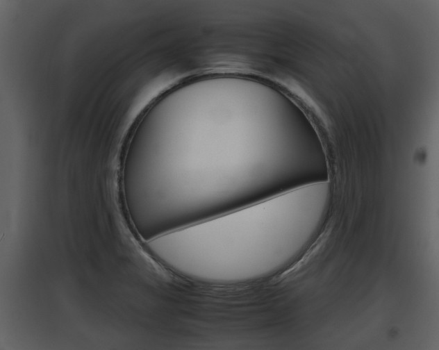 X0000097841325200803140826