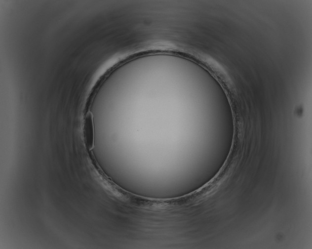 X0000097841326200803140826