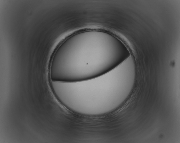 X0000097841327200803140826