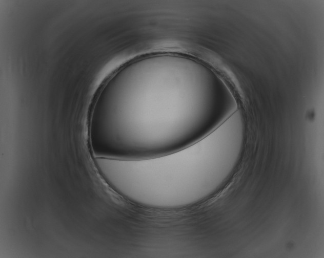 X0000097841328200803140826