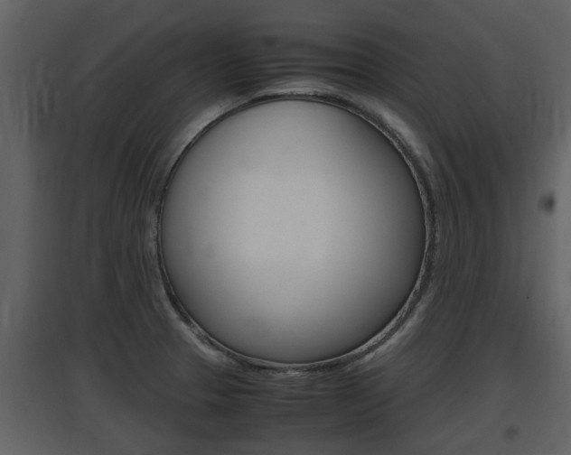 X0000097841329200803140826