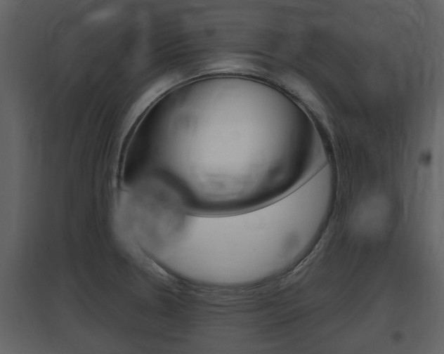 X0000097841330200803140826