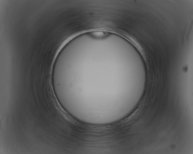 X0000097841332200803140826