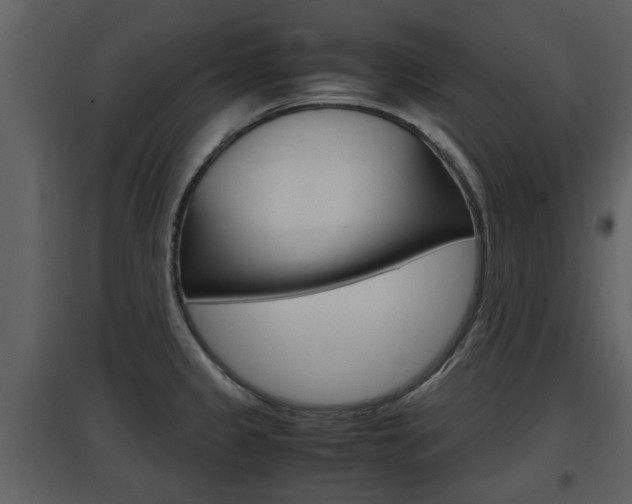X0000097841333200803140826