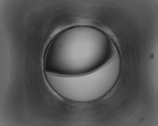 X0000097841334200803140826