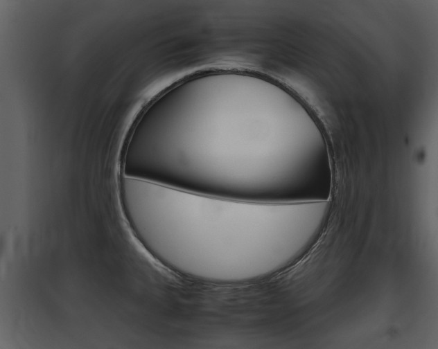 X0000097841335200803140826