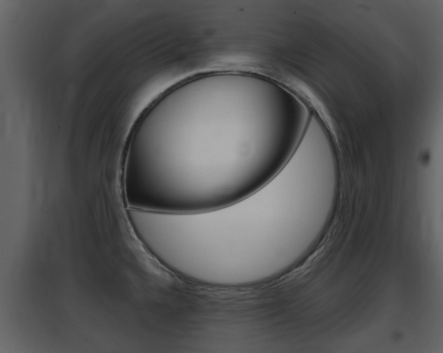 X0000097841336200803140826