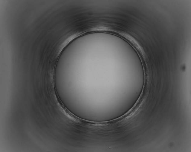 X0000097841337200803140826