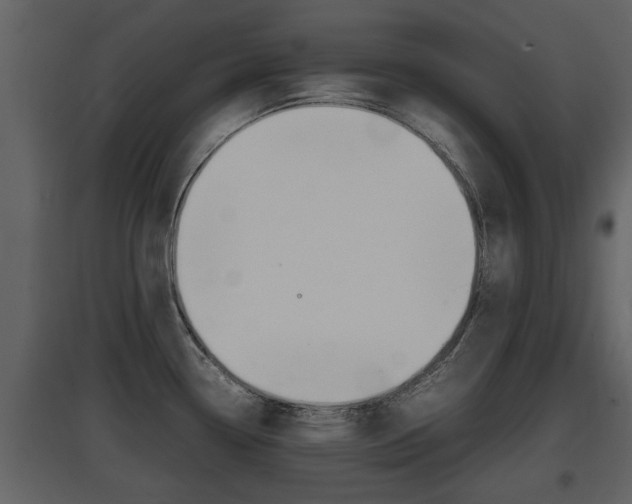 X0000097841338200803140826