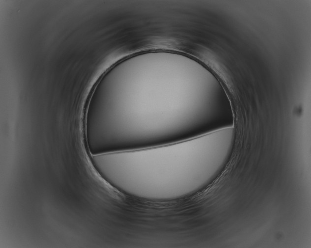 X0000097841339200803140826