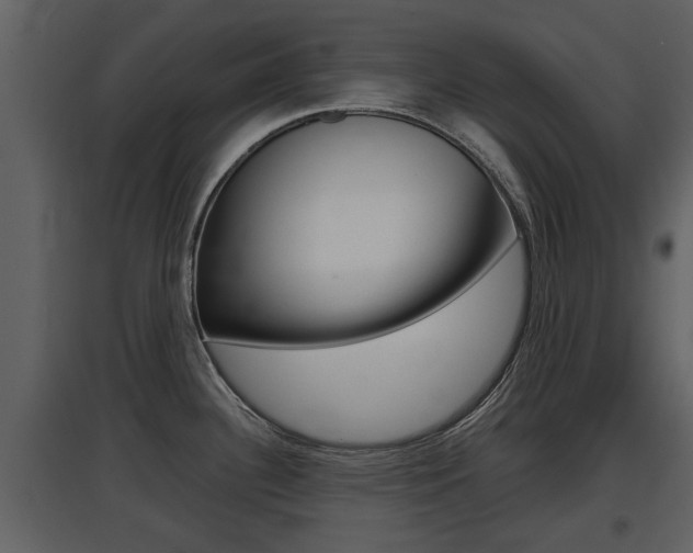 X0000097841340200803140826